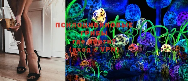ПСИЛОЦИБИНОВЫЕ ГРИБЫ Балабаново