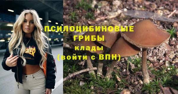 ПСИЛОЦИБИНОВЫЕ ГРИБЫ Балабаново
